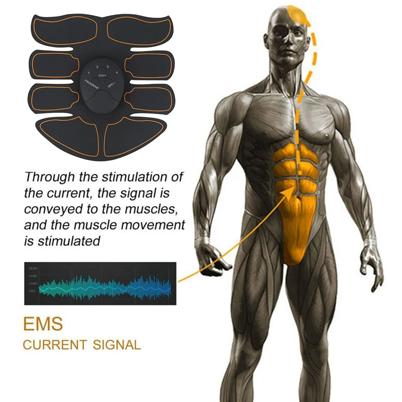 Electric Muscle Stimulator - Collumn