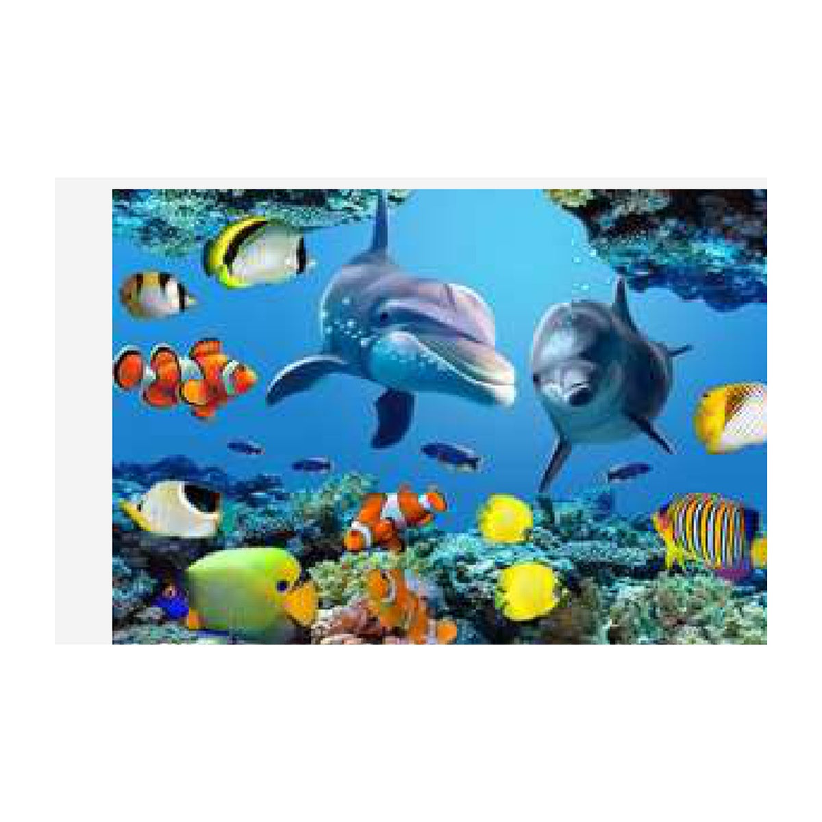 Wholesale kids digital print rug model ICS-C076